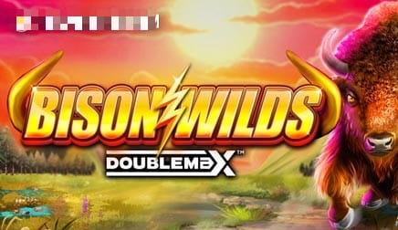 Bison Wilds DoubleMax